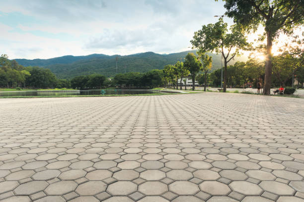 Best Decorative Driveway Pavers  in Vaiden, MS